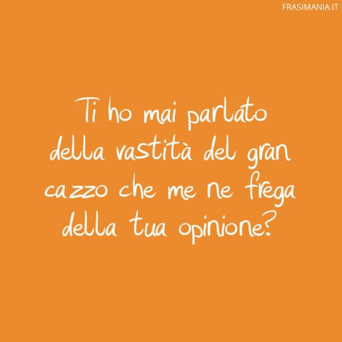 Ti ho mai parlato della vastità del gran cazzo che me ne frega della tua opinione?