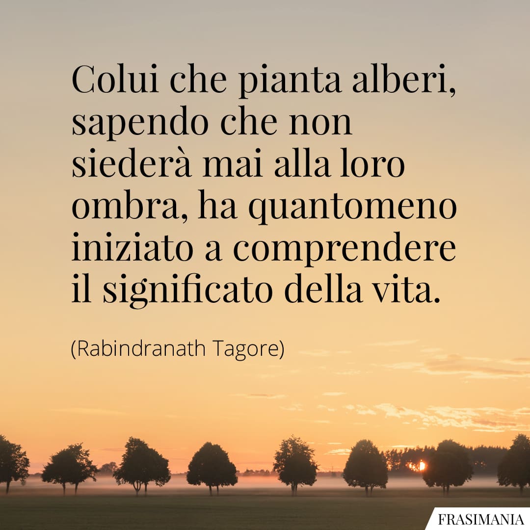 Colui che pianta alberi, sapendo che non siederà mai alla loro ombra, ha quantomeno iniziato a comprendere il significato della vita.
