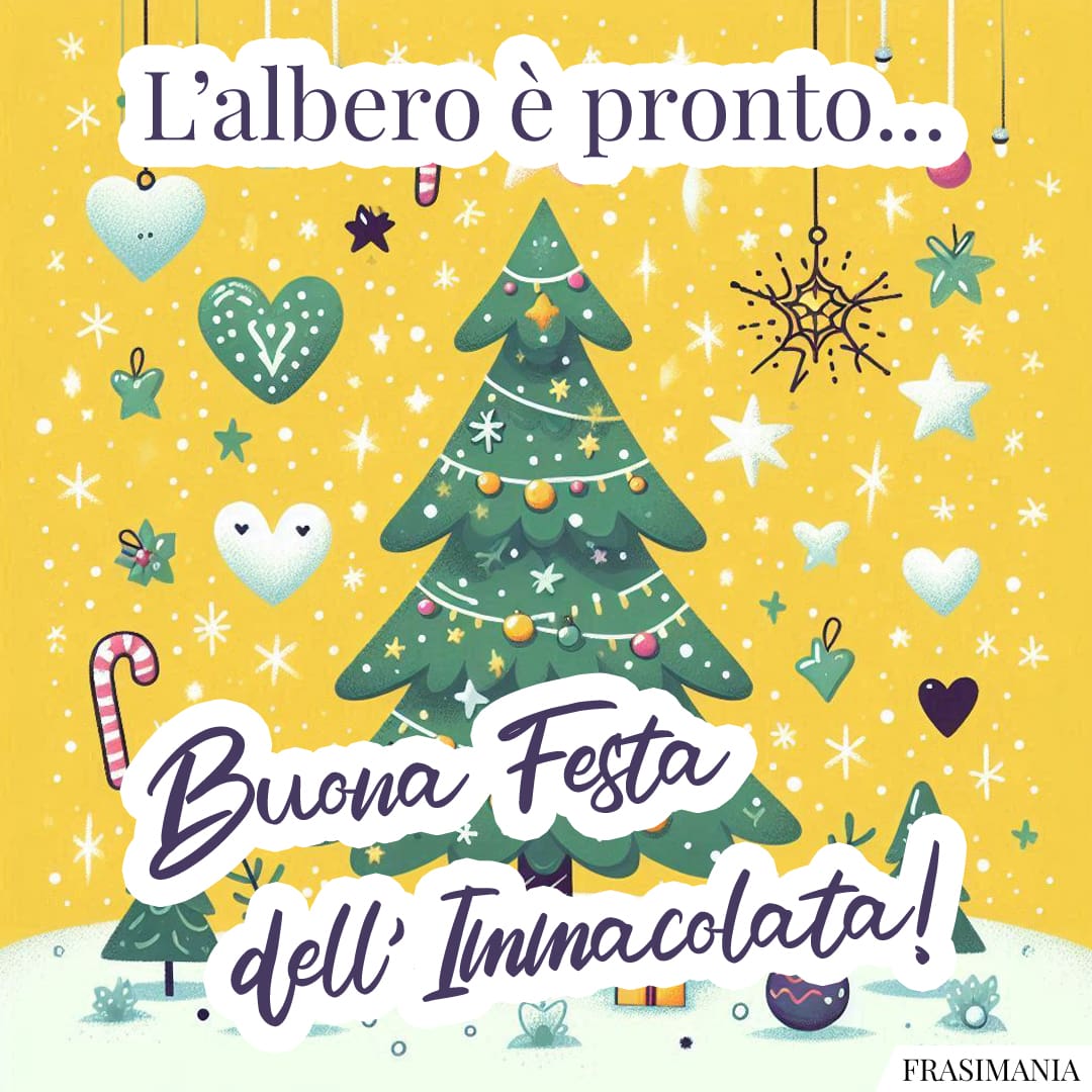 L’albero è pronto... Buona Festa dell'Immacolata!