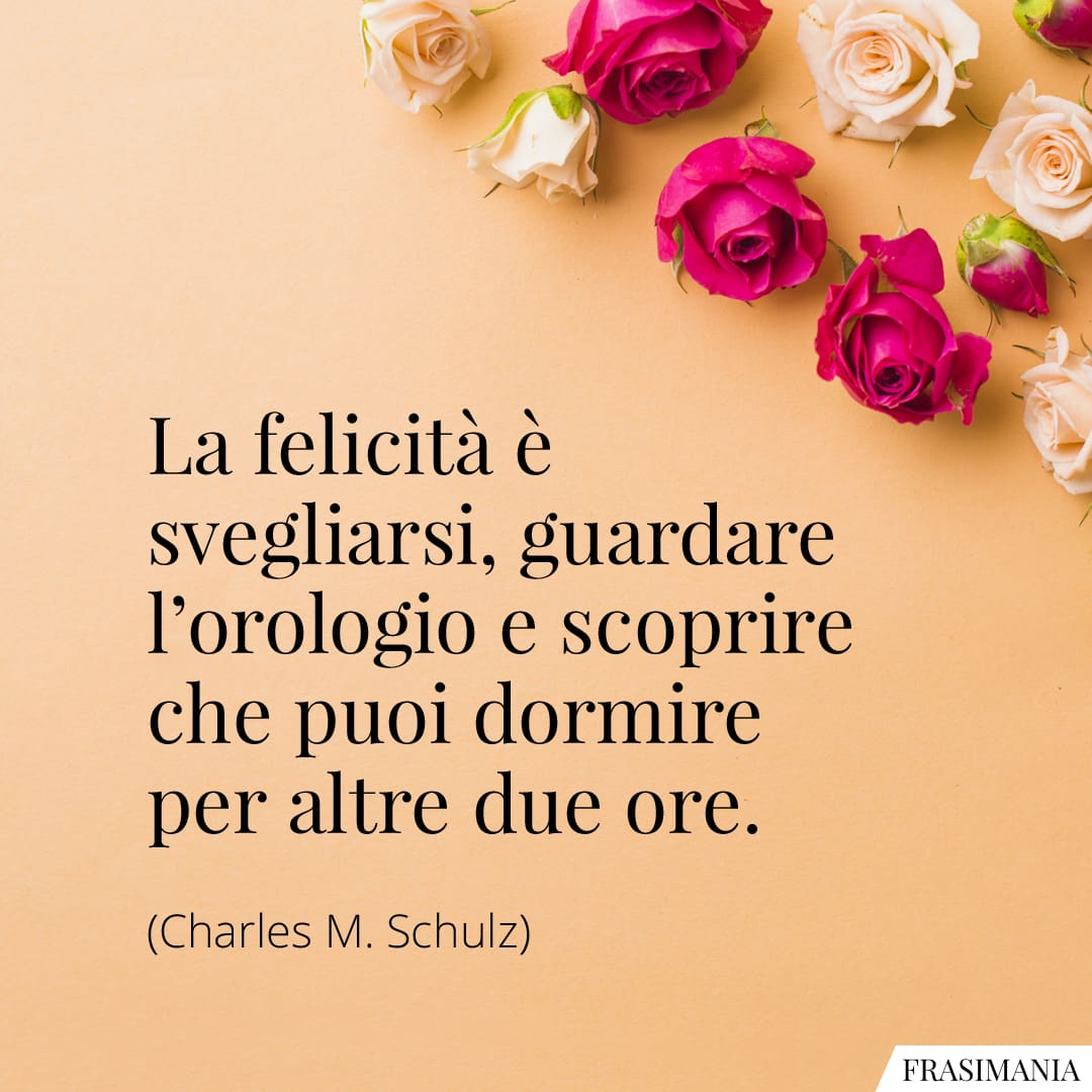 La felicità è svegliarsi, guardare l'orologio e scoprire che puoi dormire per altre due ore.