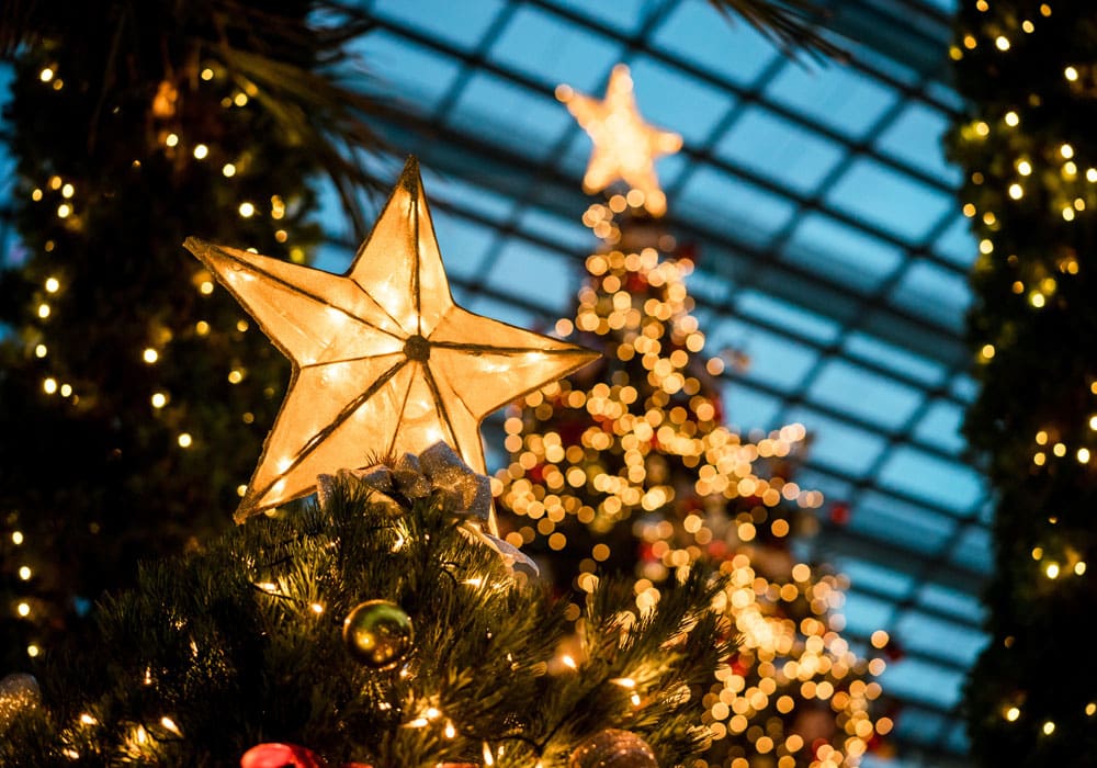 Frasi di Auguri di Buon Natale in francese (con traduzione)