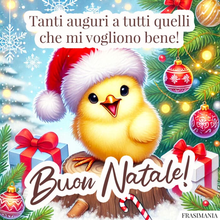 Tanti auguri a tutti quelli che mi vogliono bene! Buon Natale!