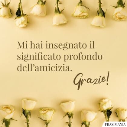 Portachiavi Regalo Uomo Donna Con Ciondolo In Acciaio Inox Argento - Grazie, Compleanno, Amici