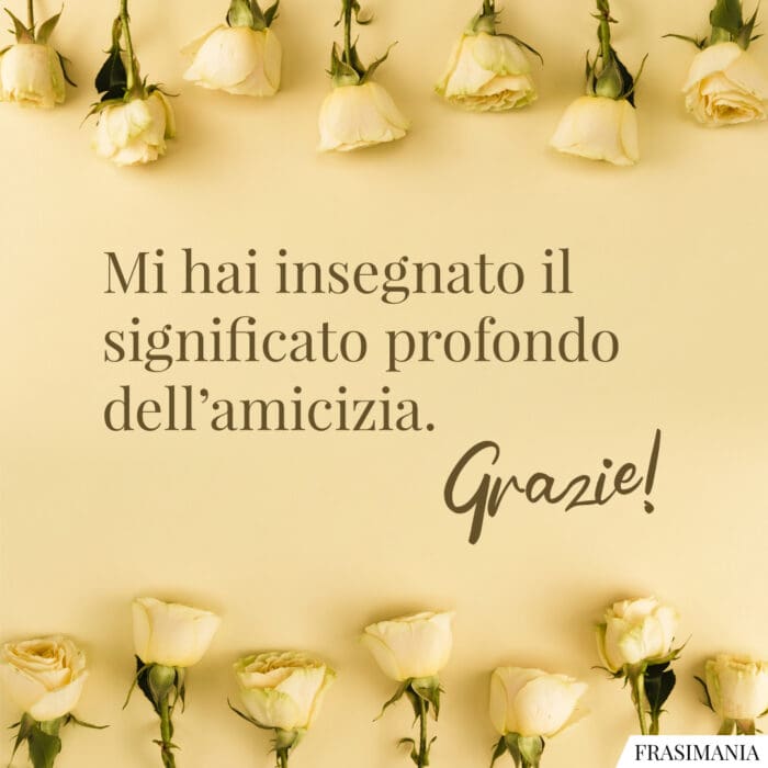 Mi hai insegnato il significato profondo dell’amicizia. Grazie!