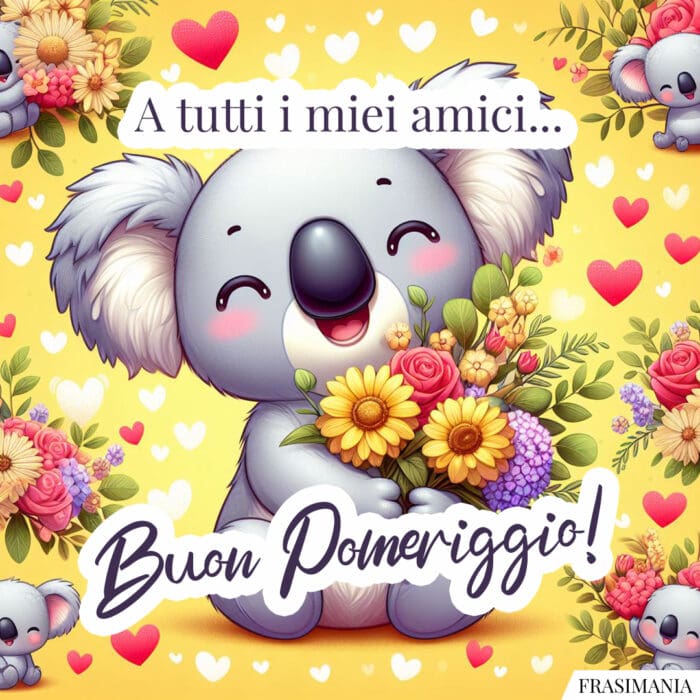 Buon pomeriggio koala amici