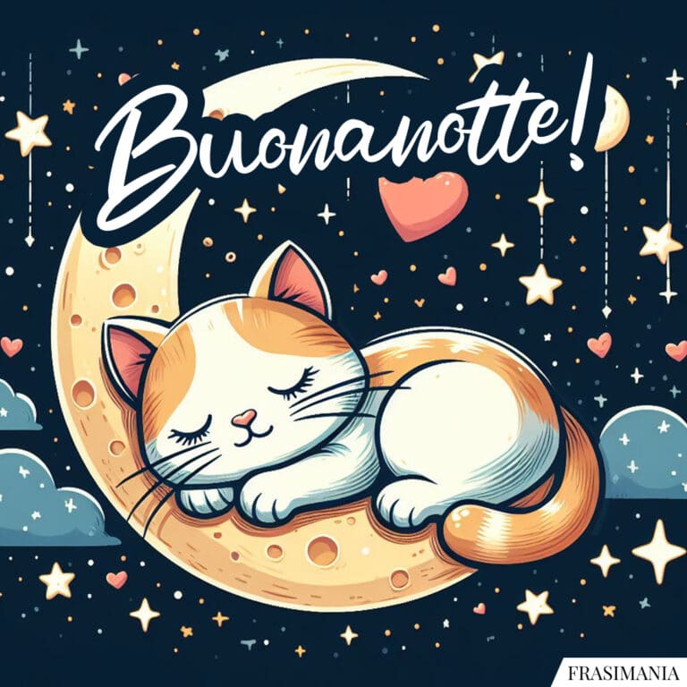 Immagini della buonanotte con gatti e gattini (nuovissime e inedite)