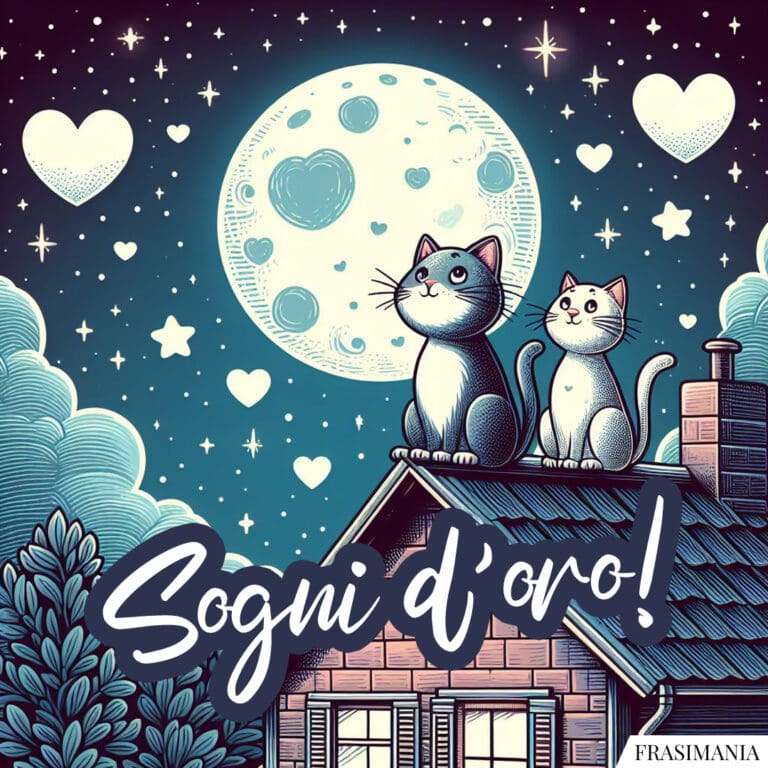 Immagini della buonanotte con gatti e gattini (nuovissime e inedite)
