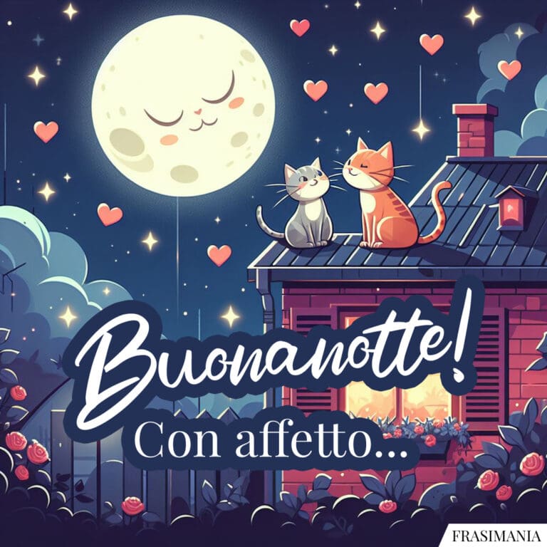 Immagini della buonanotte con gatti e gattini (nuovissime e inedite)
