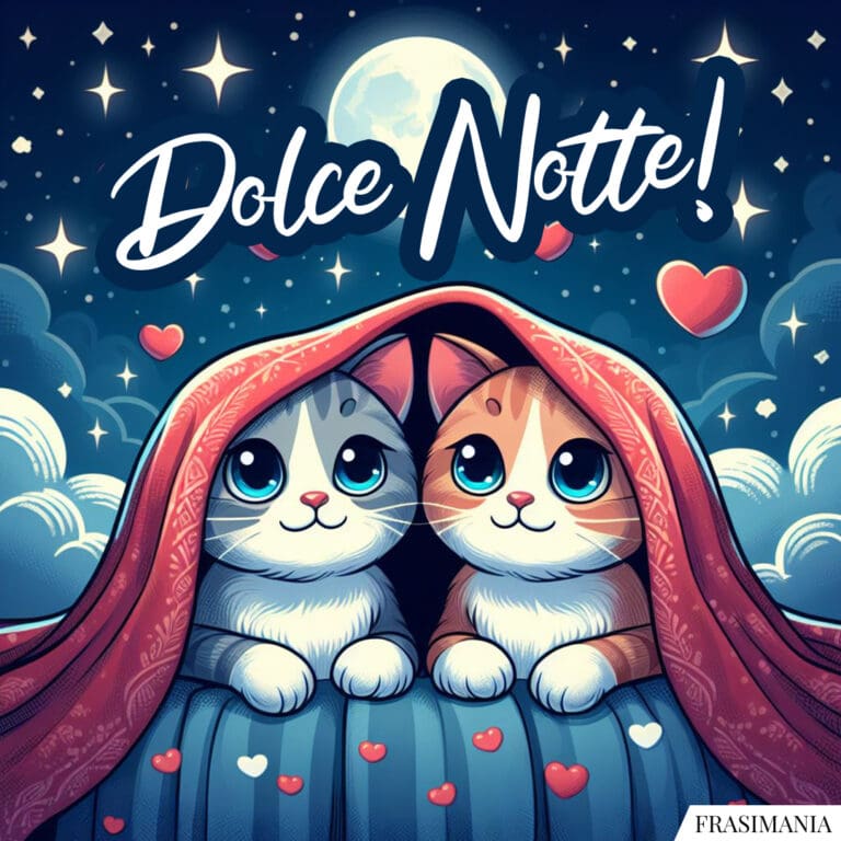 Immagini della buonanotte con gatti e gattini (nuovissime e inedite)