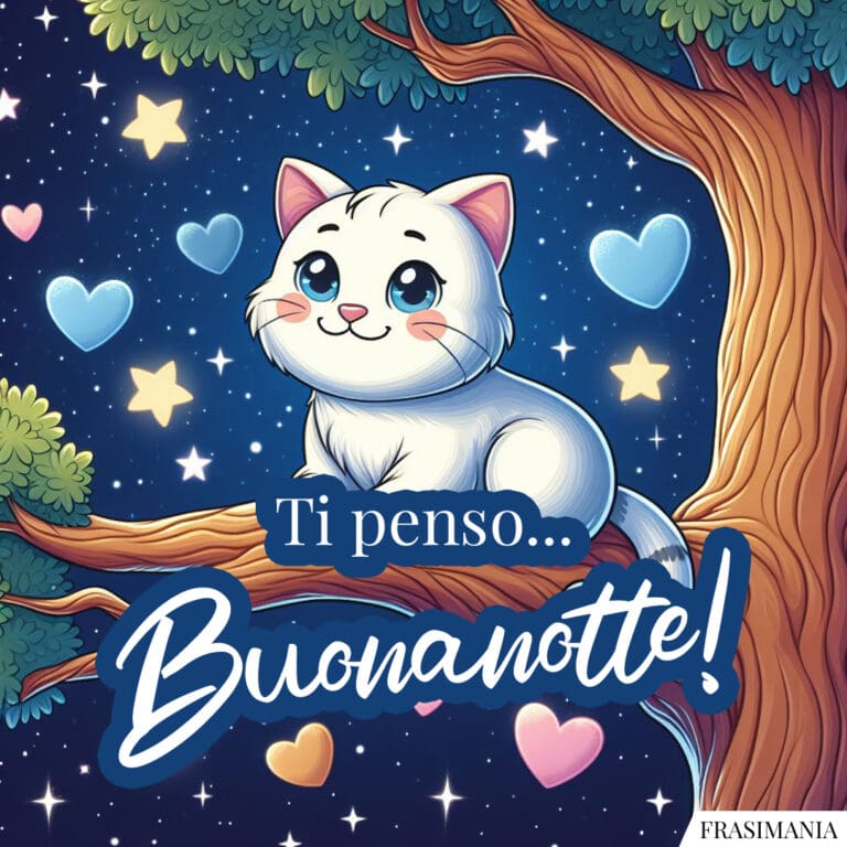 Immagini della buonanotte con gatti e gattini (nuovissime e inedite)
