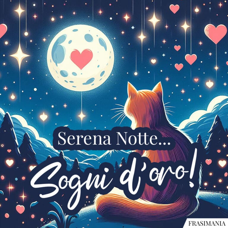 Immagini della buonanotte con gatti e gattini (nuovissime e inedite)