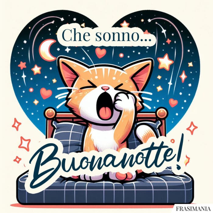 Che sonno... Buonanotte!