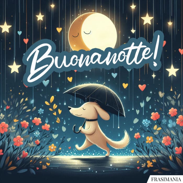 Buonanotte!