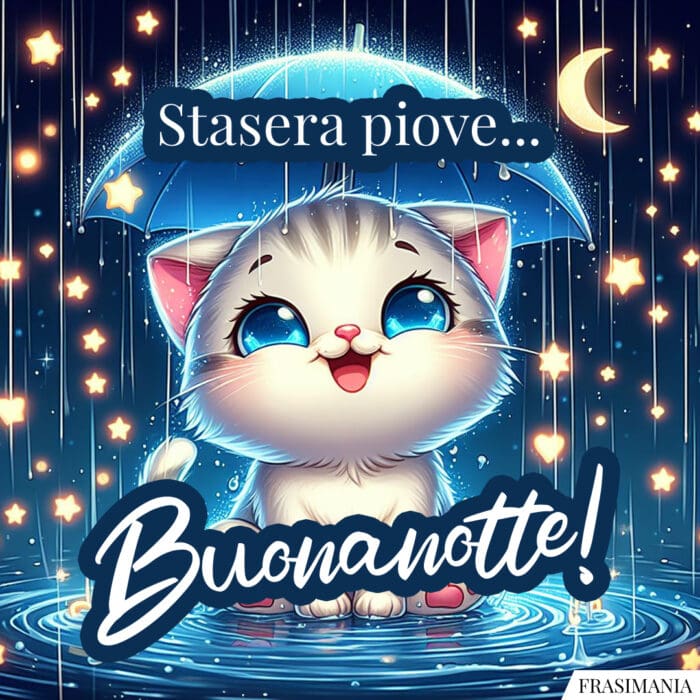 Stasera piove... Buonanotte!