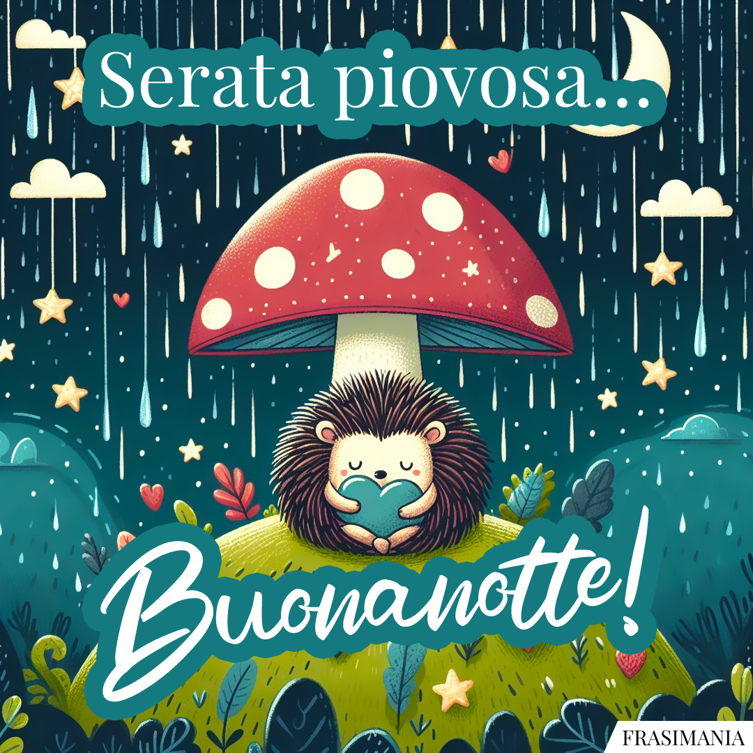 Serata piovosa… Buonanotte!