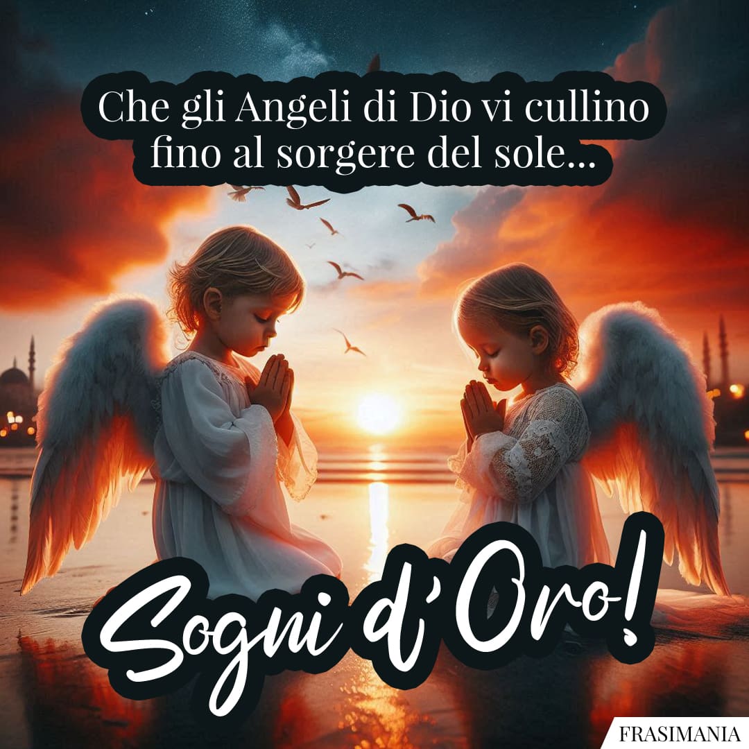 Che gli Angeli di Dio vi cullino fino al sorgere del sole... Sogni d'Oro!
