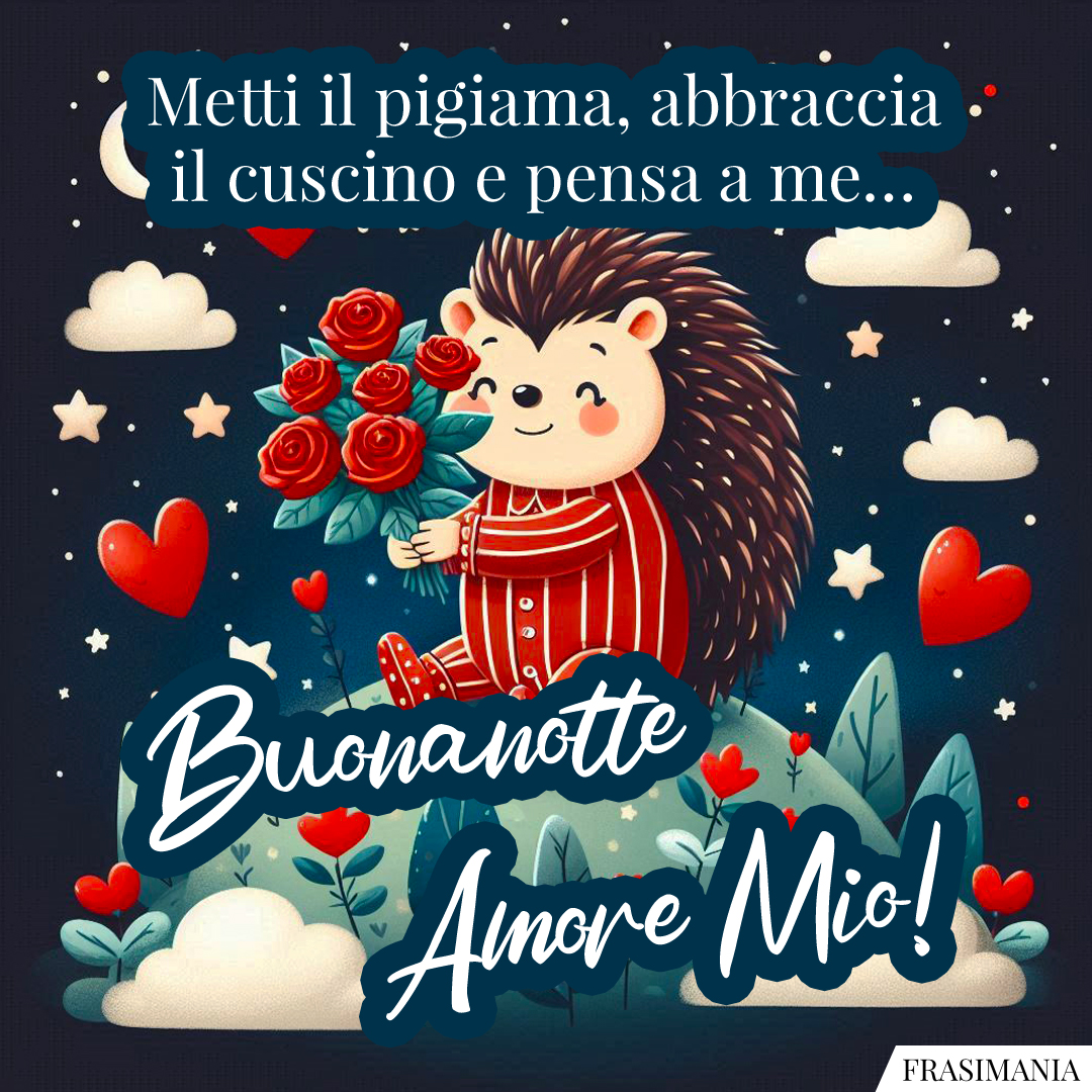 Metti il pigiama, abbraccia il cuscino e pensa a me… Buonanotte Amore Mio!