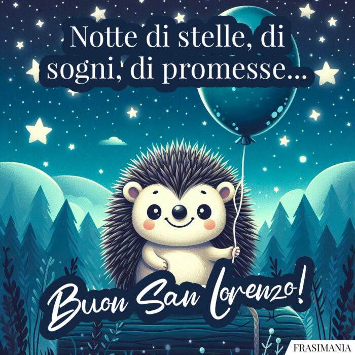 Notte di stelle, di sogni, di promesse… Buon San Lorenzo!
