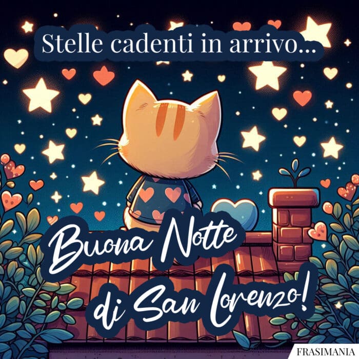 Stelle cadenti in arrivo… Buona Notte di San Lorenzo!
