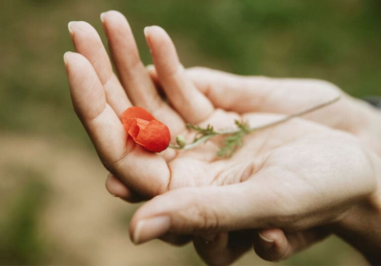 Frasi sulle conseguenze delle azioni e delle parole