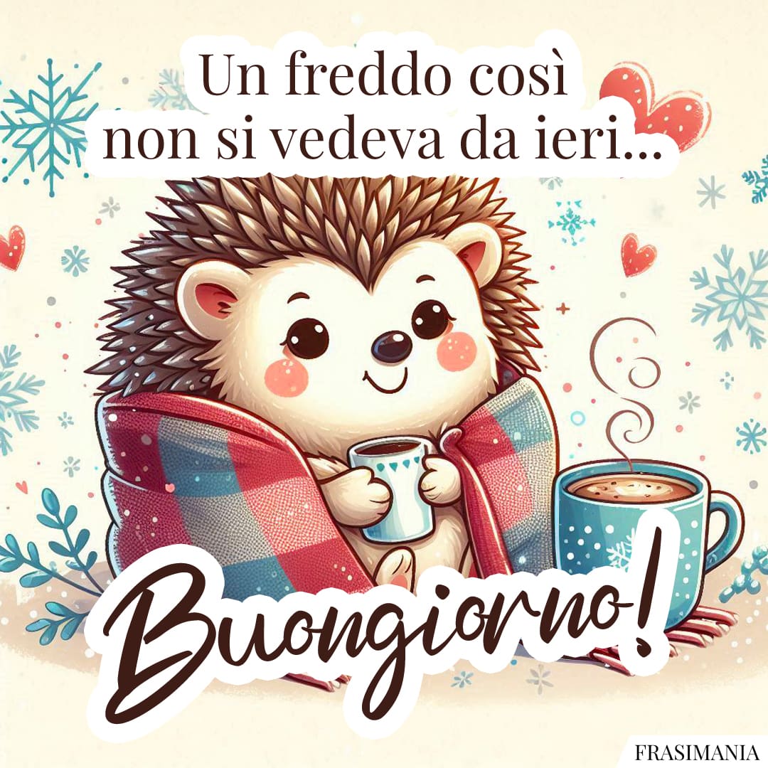 Un freddo così non si vedeva da ieri... Buongiorno!