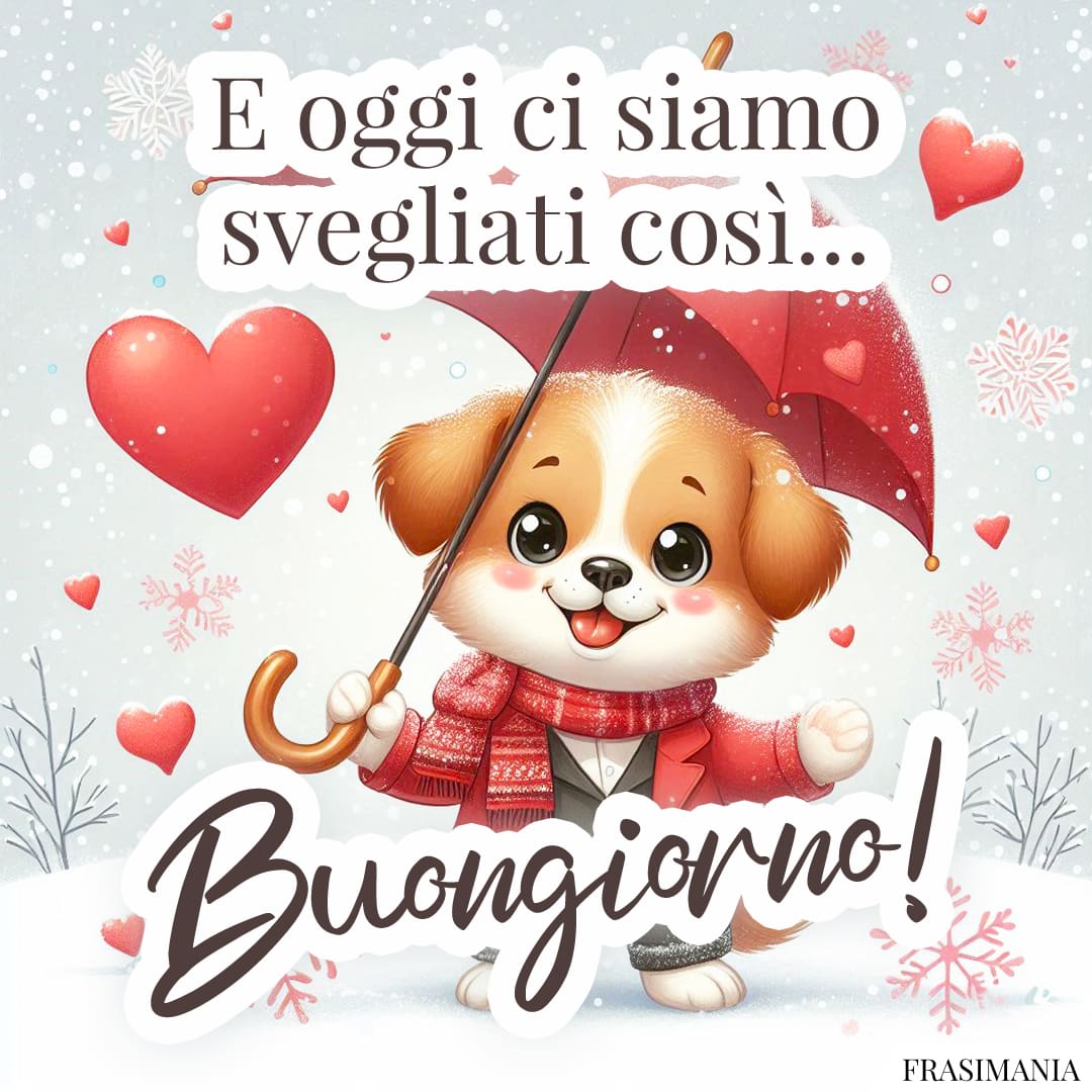 E oggi ci siamo svegliati così... Buongiorno!