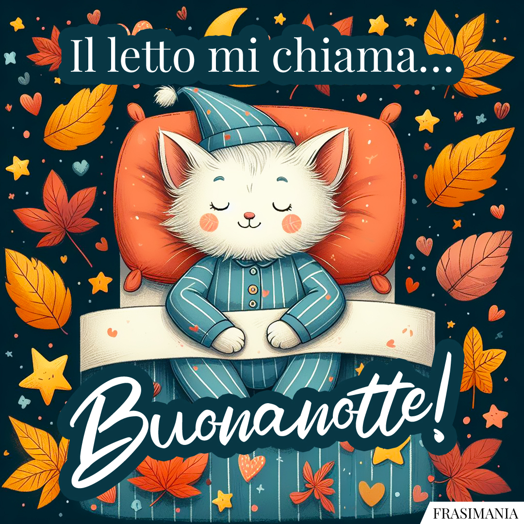 Il letto mi chiama… Buonanotte!