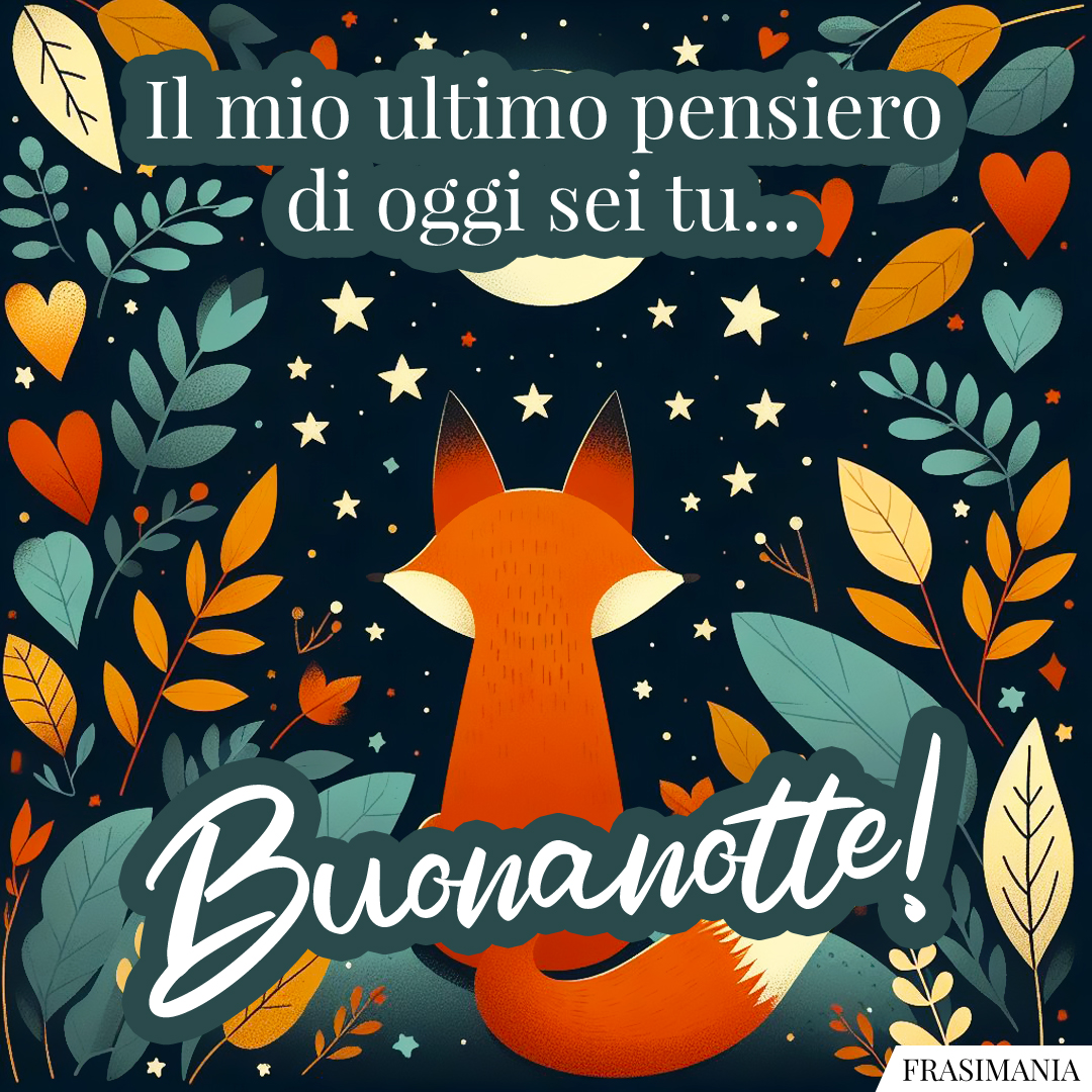 Il mio ultimo pensiero di oggi sei tu... Buonanotte!