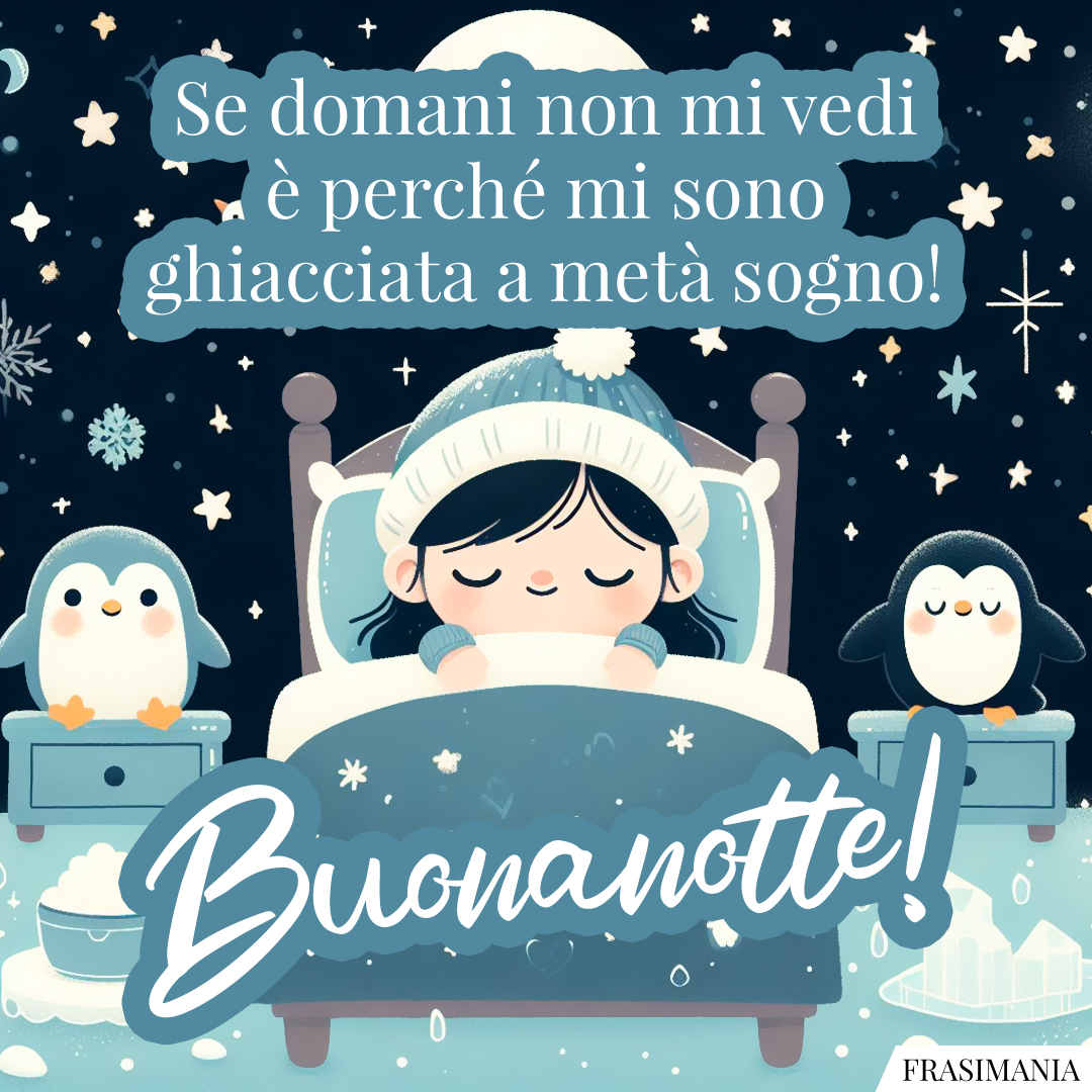 Se domani non mi vedi è perché mi sono ghiacciata a metà sogno! Buonanotte!