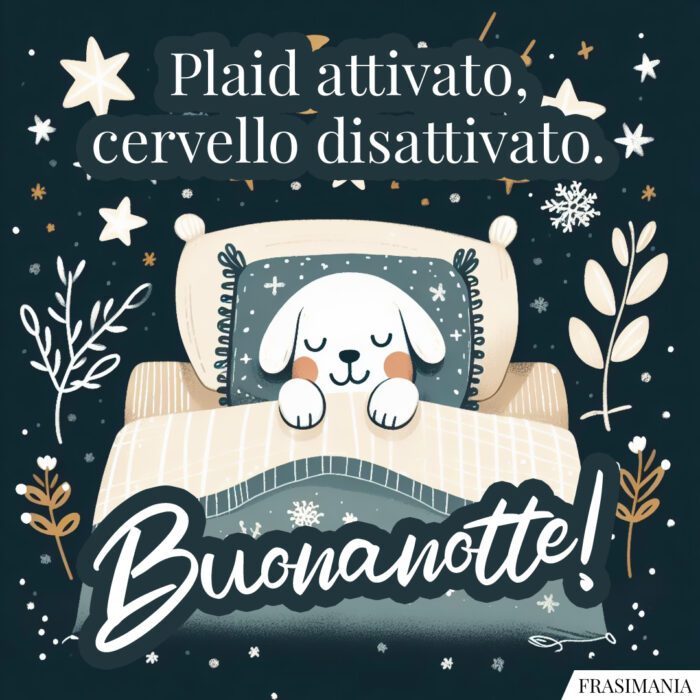 Plaid attivato, cervello disattivato. Buonanotte!