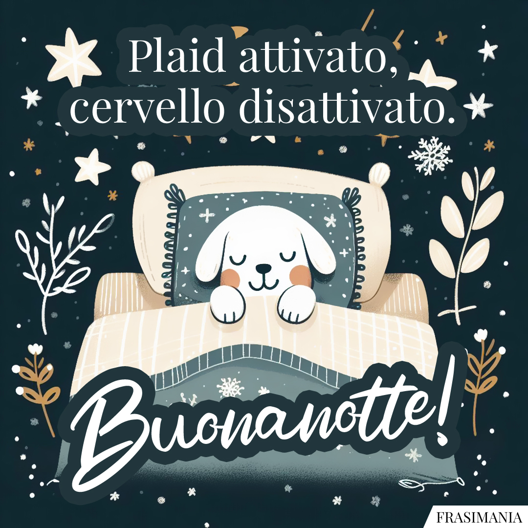 Plaid attivato, cervello disattivato. Buonanotte!