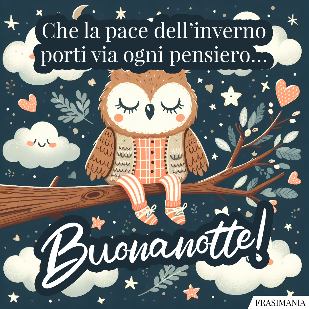 Che la pace dell’inverno porti via ogni pensiero… Buonanotte!