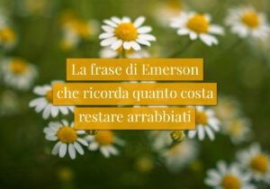 La frase di Emerson che ricorda quanto costa restare arrabbiati